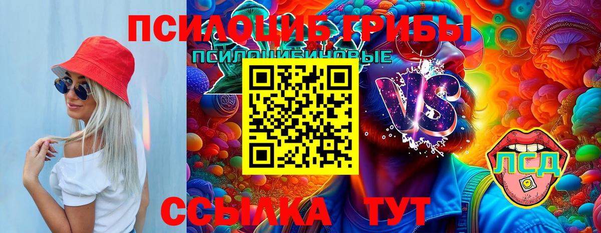 Галлюциногенные грибы мицелий  Вход с VPN  купить закладку  Добрянка  Псилоцибиновые грибы Psilocybine cubensis 