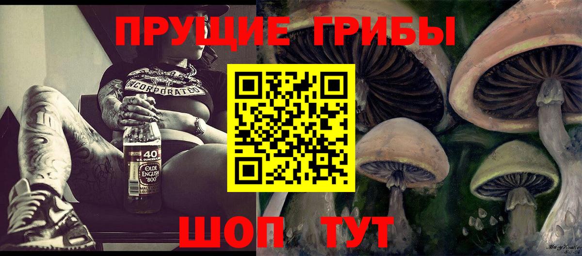 Псилоцибиновые грибы Psilocybine cubensis Добрянка